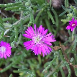 Meet your Posher, Sherry